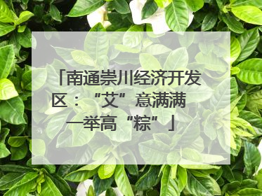 南通崇川经济开发区：“艾”意满满 一举高“粽”